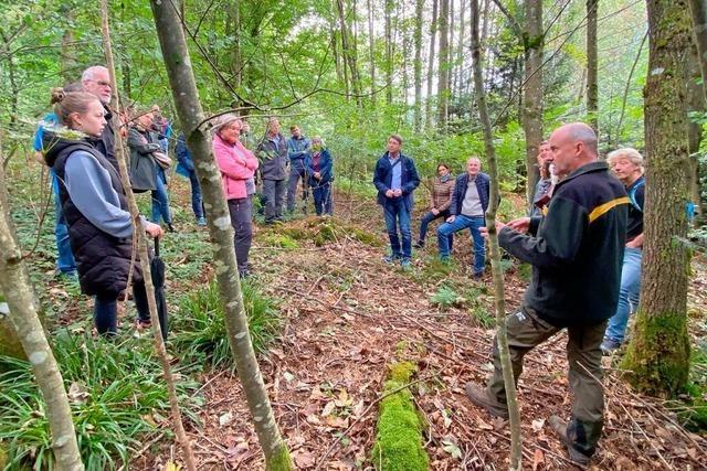 Themen im Ettenheimer Wald sind Borkenkfer, Aufforstung, Ruhewald und Windkraft,