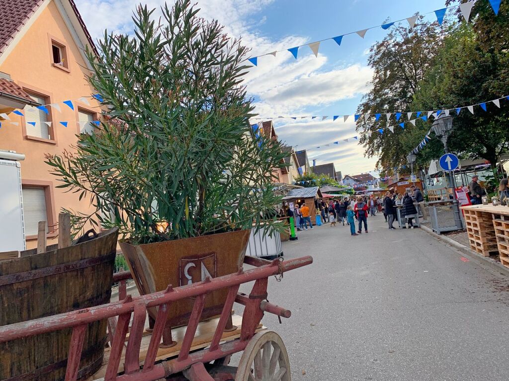 Impressionen vom Weinfest in Btzingen am Kaiserstuhl