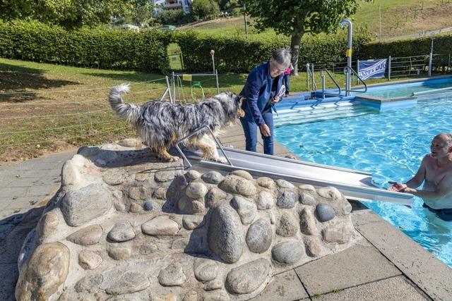 Warum Hunde die allerletzten Badegste des Hhenschwimmbads Schweigmatt gewesen sein knnten