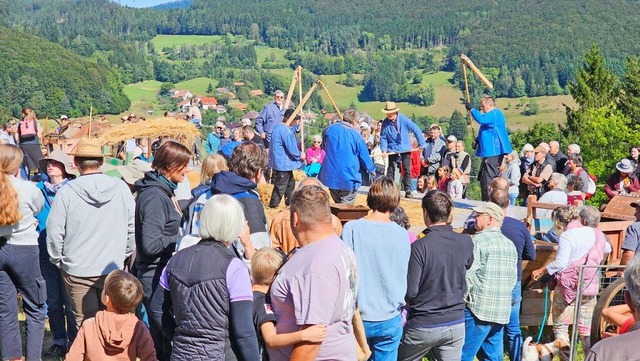 Dreschen im Takt mit dem Pflegel. Mode...rg Drflinger kommentiert die Aktion.  | Foto: Gerald Nill