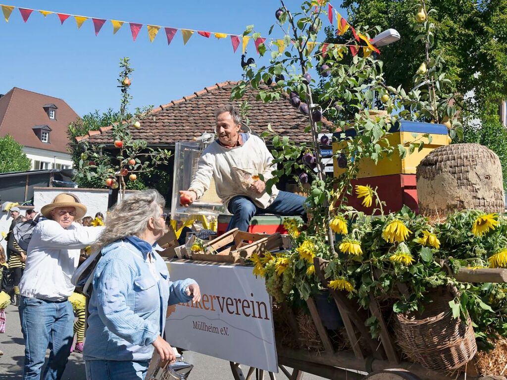 Der Imkerverein warb fr Honig.