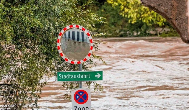 Blick auf das Hochwasser der Steyr in sterreich  | Foto: Daniel Scharinger (dpa)