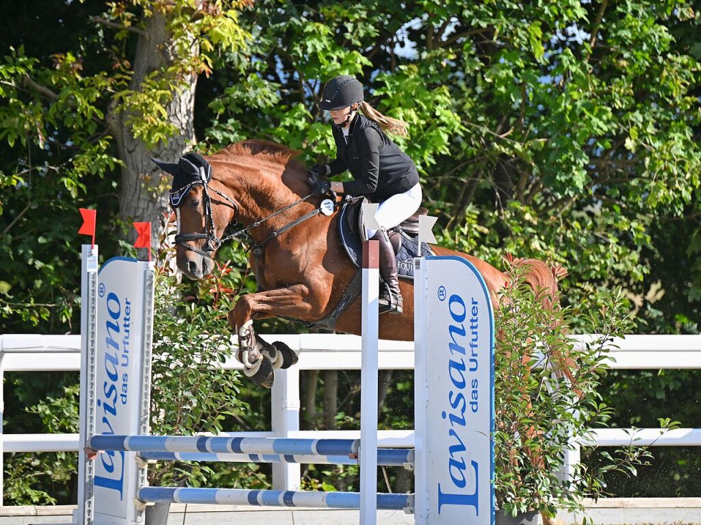 Neben Dressur stand auch Springen auf dem Prfstand.