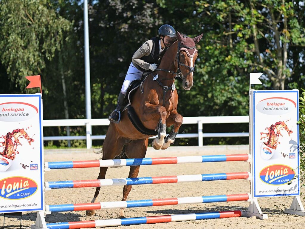 Neben Dressur stand auch Springen auf dem Prfstand.