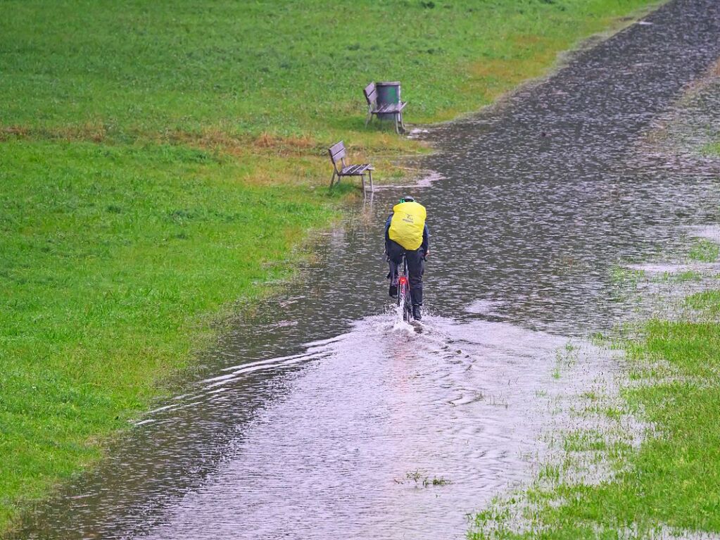 Dresden: Ein Radfahrer fhrt auf einem Radweg, der vom Hochwasser der Elbe berflutet ist, entlang.