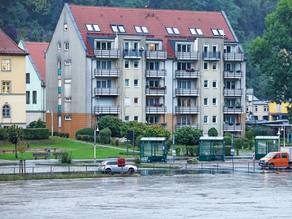 Bad Schandau: Das Hochwasser der Elbe steht unweit von Wohnhusern am Ufer.