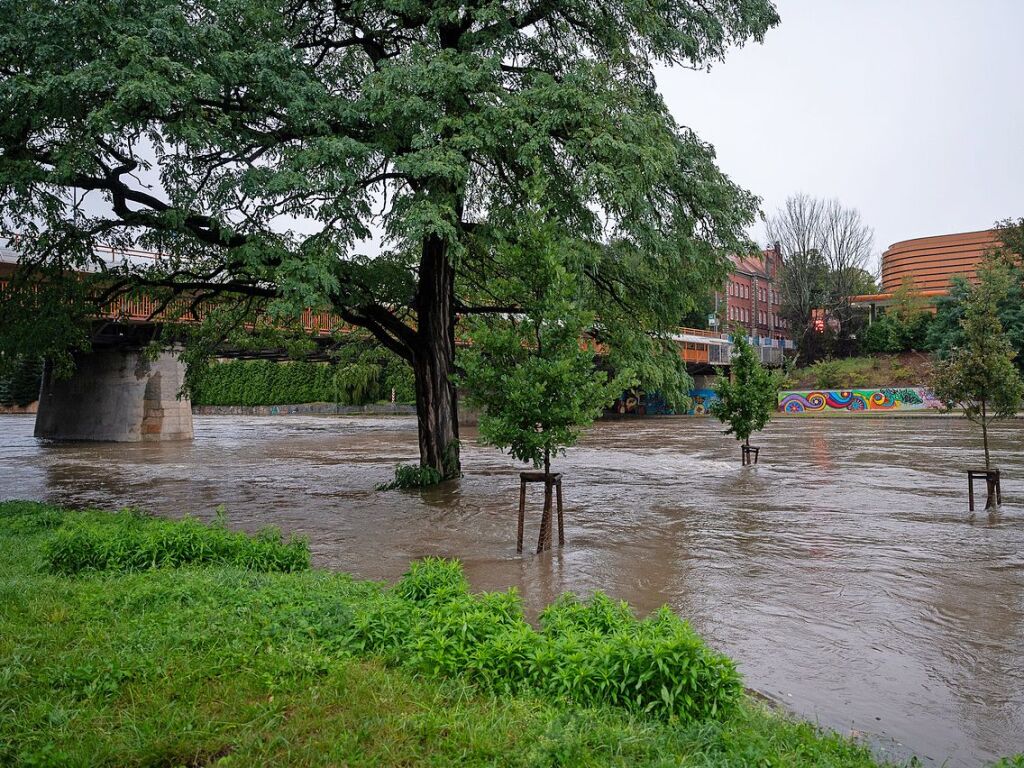 Grlitz: An der Stadtbrcke stehen Bume im Hochwasser der Neie.