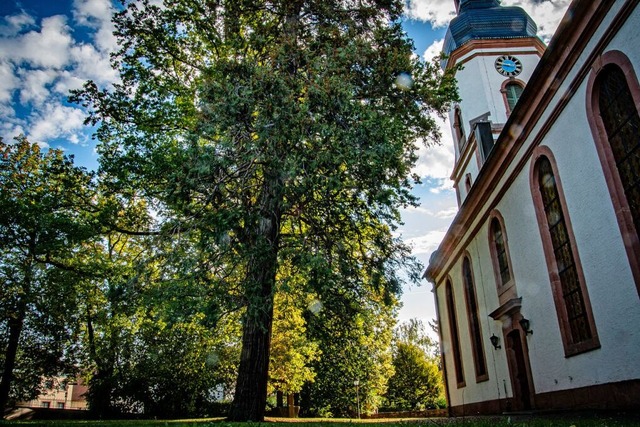 Die Martinskirche gehrt zur Auferstehungsgemeinde.  | Foto: Marius Alexander