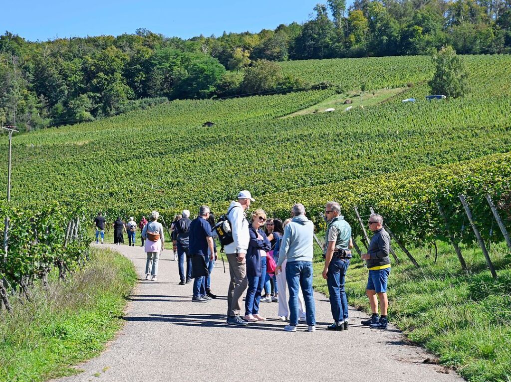 Beste Laune bei bestem Wetter gab es bei der Weinwanderung am Sonntag zwischen Wolfenweiler und Freiburg-St.Georgen.