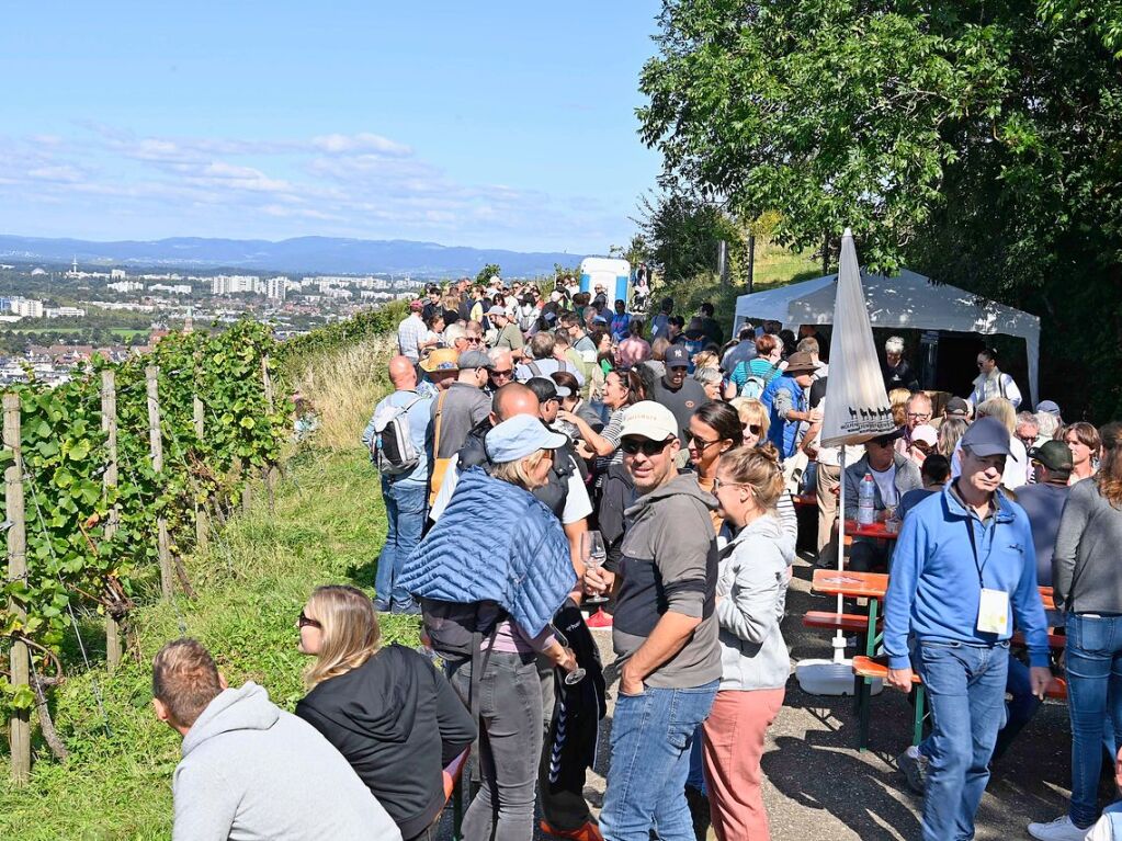 Beste Laune bei bestem Wetter gab es bei der Weinwanderung am Sonntag zwischen Wolfenweiler und Freiburg-St.Georgen.