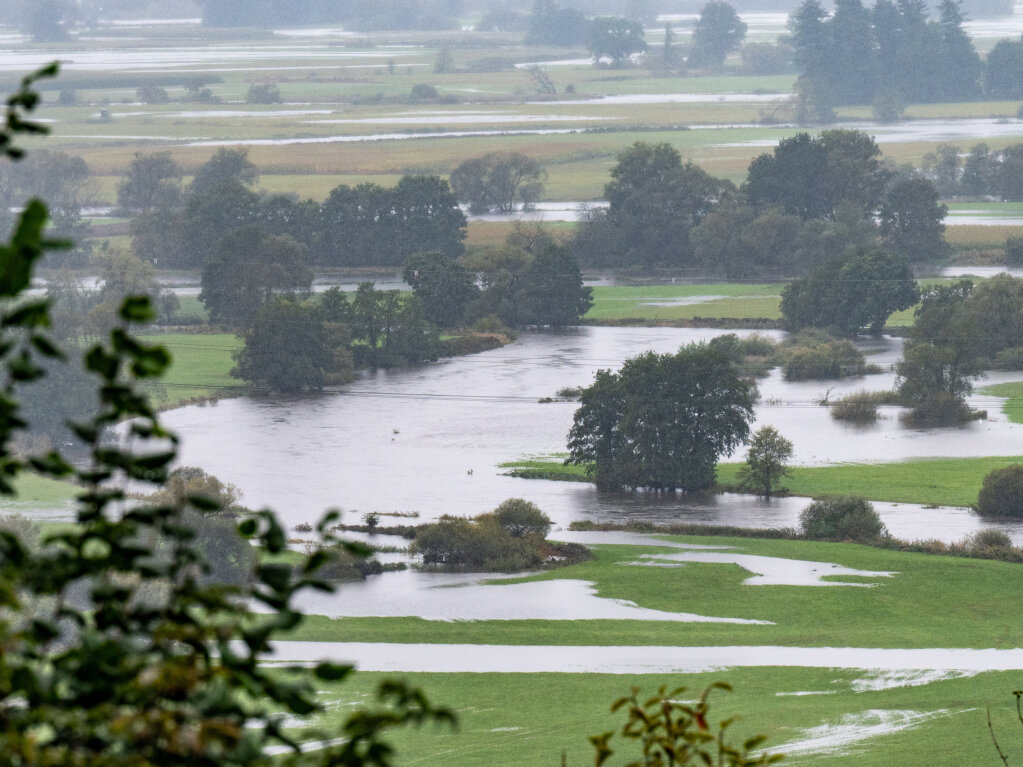 Bayern, Cham: Eine Wiesen und cker sind teilweise vom Hochwasser des Flusses Regen berschwemmt.