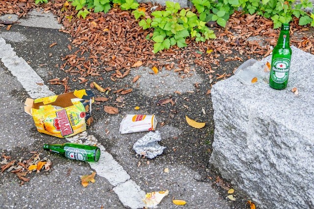 Viel Mll hat sich am Parkplatz fr den Kraftwerkspavillon angesammelt.  | Foto: Alexandra Gnzschel