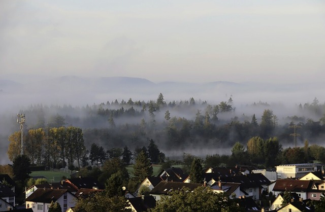 Durch die deutlich hhere Wassertemper...ocht&#8220; der Rhein bei Schwrstadt.  | Foto: Helmut Kohler