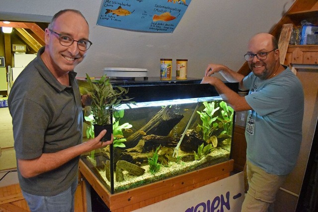 Heiko Meier (links) und Michael Kramer... ein Aquarium fr die Ausstellung vor.  | Foto: Thomas Loisl Mink