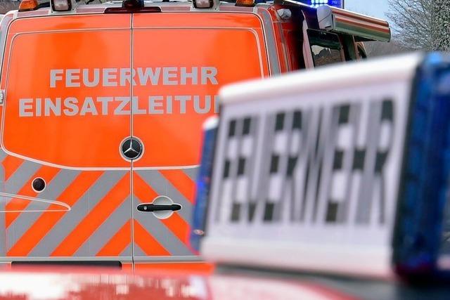 Nach dem Brand mehrerer Mlltonnen in Freiburg-Betzenhausen sucht die Polizei Zeugen