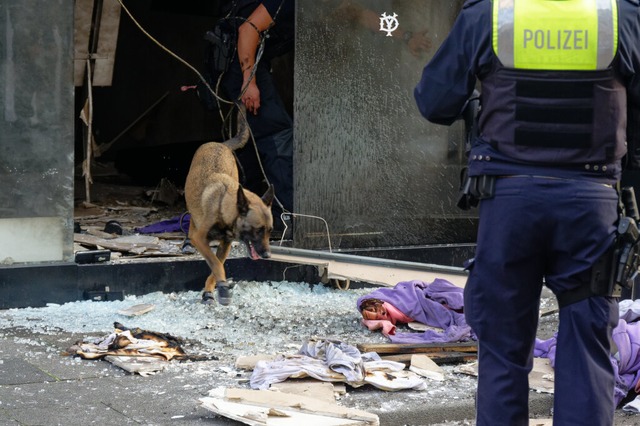 Ein Polizeihund sucht in den Trmmern ...ae in Kln. <Bildquelle></Bildquelle>  | Foto: Henning Kaiser (dpa)