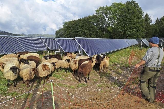 Vorbereitung auf die Energietage