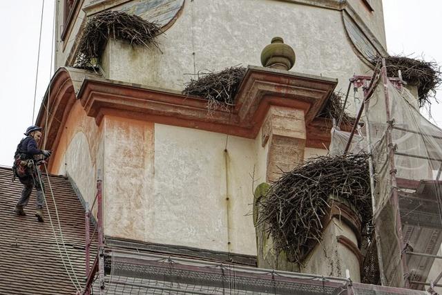 Groputz auf dem Kirchendach