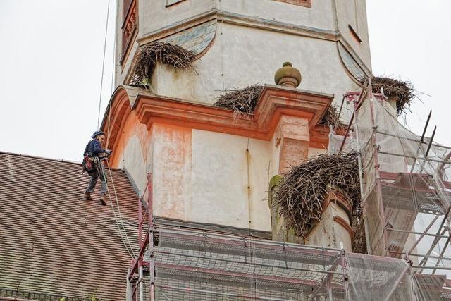 Industriekletterer sorgen auf dem Riegeler Kirchendach fr Ordnung rund um die Storchennester