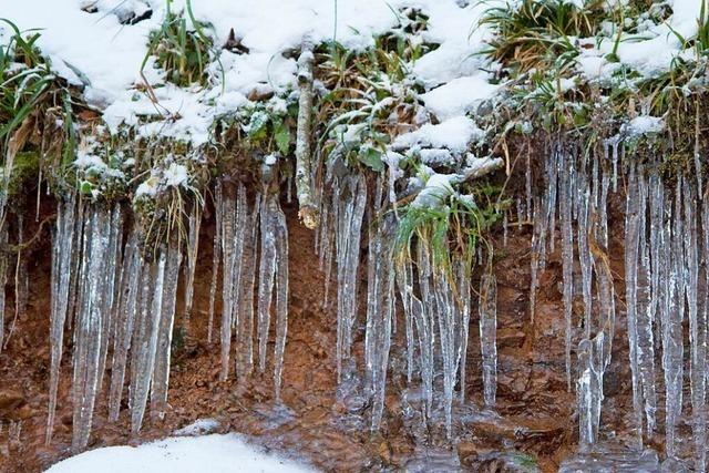 Eiszapfen in Waldkirch