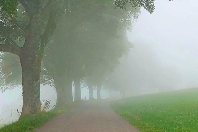 Verwunschene Wege bei St. Peter