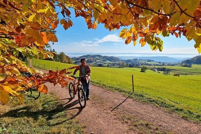 Zeller Bergland wird bei Touristen immer beliebter