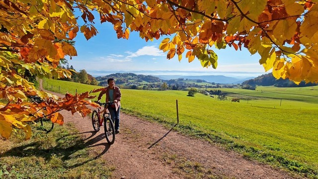 Wanderweg mit Alpenblick in Gresgen: D...d hat seine Reize zu jeder Jahreszeit.  | Foto: Gerald Nill