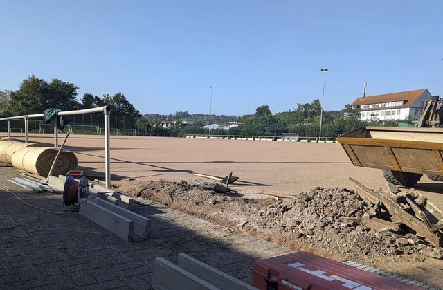 Am Wehrer Kunstrasenplatz wird aktuell gearbeitet.   | Foto: Julia Becker