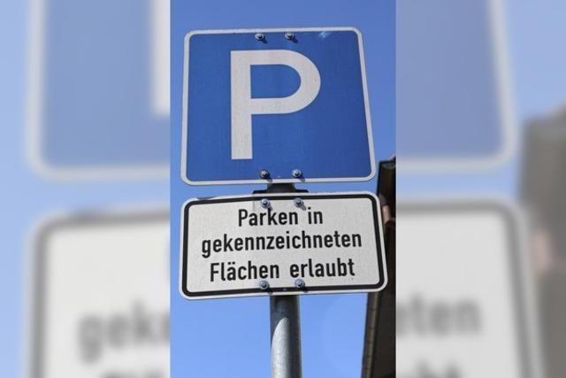 Lrrach will Parken sinnvoll steuern