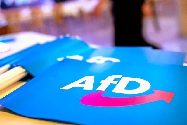 Was fr eine Partei ist die AfD?