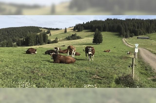 Ein Hoch auf Kultur und Natur