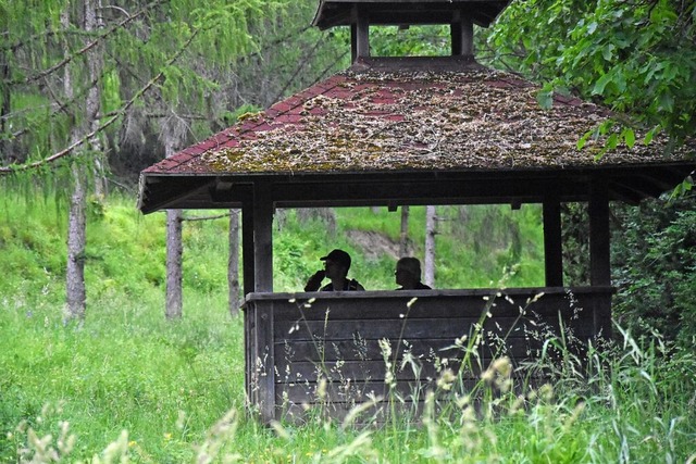 Ornithologen erforschen die Verhaltensweisen von Vgeln.  | Foto: Kathrin Ganter