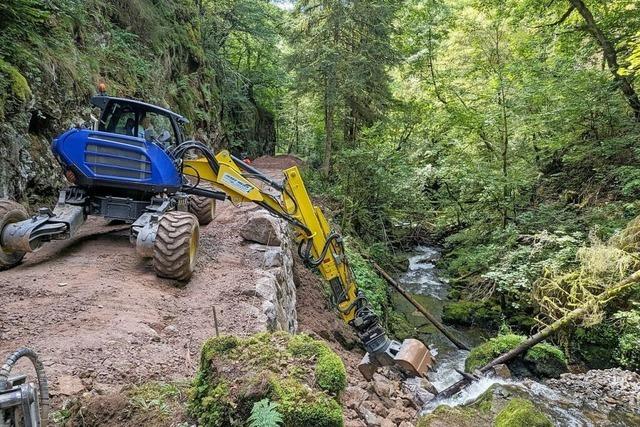 Kein Geheimtipp mehr fr Motorradfahrer: Die alte Murgtalstrae wird zum Waldweg