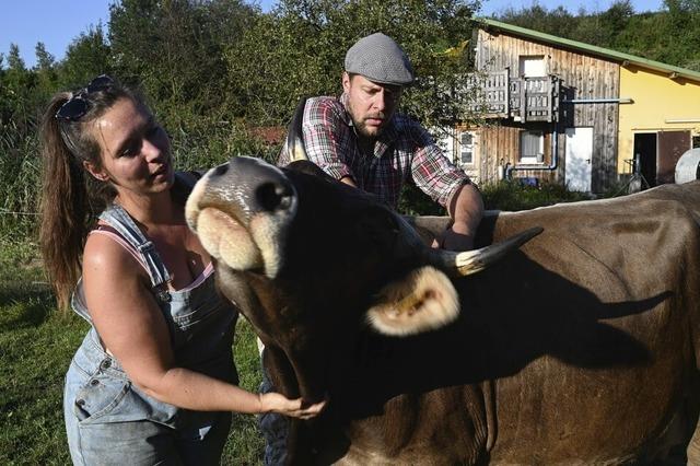 Akademiker-Paar mit nachhaltiger Landwirtschaft