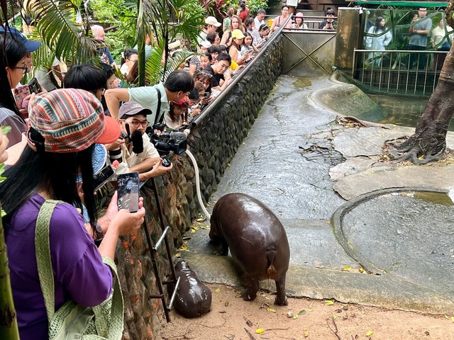 Das Hippo-M&auml;dchen lockt jeden Tag Tausende Besucher.  | Foto: Carola Frentzen/dpa