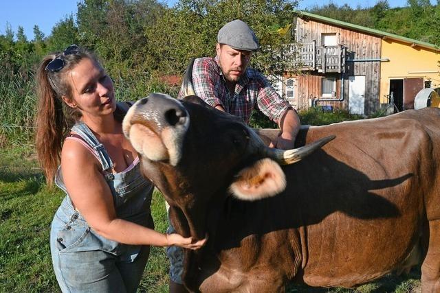 Wie ein Akademiker-Paar auf dem Breitenweger Hof nachhaltige Landwirtschaft betreibt