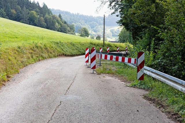 Vor vier Jahren war im Kohlenbach entl...en Hang verschoben und saniert werden.  | Foto: Gabriele Zahn