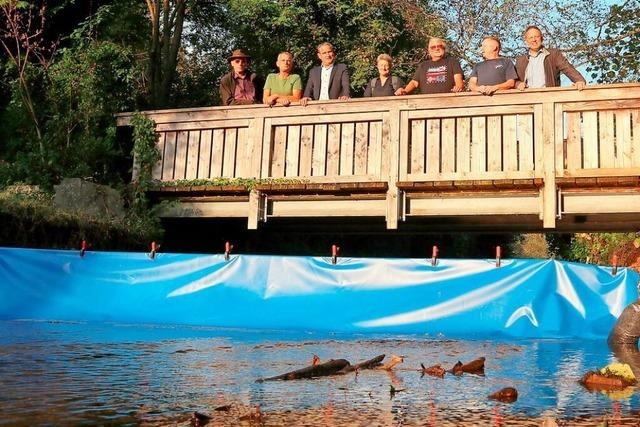 Wie mobile Wassersperren Fische in Schopfheim leichter vor Stress schtzen sollen