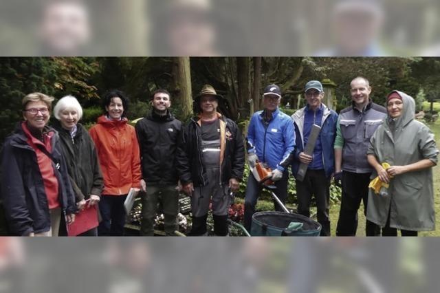 Klimawandel macht Bumen auf Aufriedhof zu schaffen