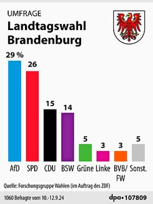 Umfragewerte zur Landtagswahl in Brandenburg (13.09.2024)  | Foto: dpa-infografik GmbH (dpa)