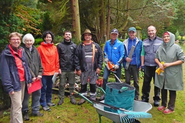 Klimawandel macht Bumen auf dem Aufriedhof in Bad Sckingen zu schaffen