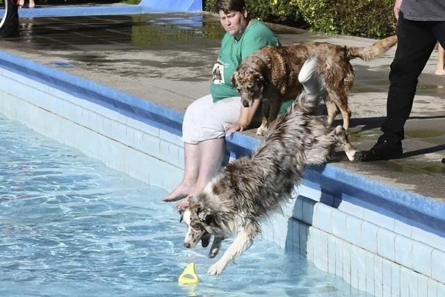 Badegste auf vier Pfoten haben Spa im Freibad