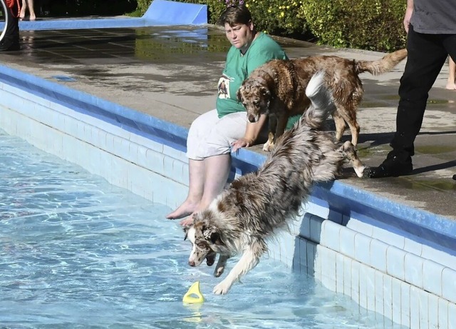 Mutige Vierbeiner: Einige Hunde sprangen sofort ins Becken.  | Foto: Heinz und Monika Vollmar