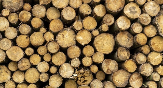 Eine Tonne verarbeitetes Holz, das sin...peichert 1,8 Tonnen Kohlenstoffdioxid.  | Foto: Volker Hohlfeld (imago)