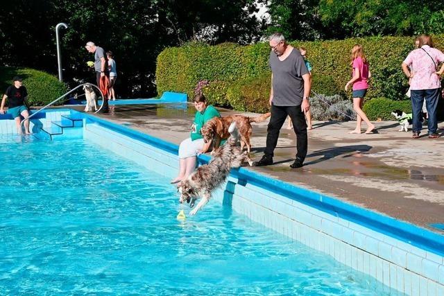 Beim ersten Hundebadetag in Grenzach-Wyhlen haben die Vierbeiner ihren Spa