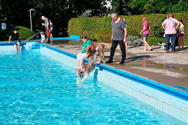 Mutige Vierbeiner: Einige Hunde sprangen sofort ins Becken.  | Foto: Heinz und Monika Vollmar