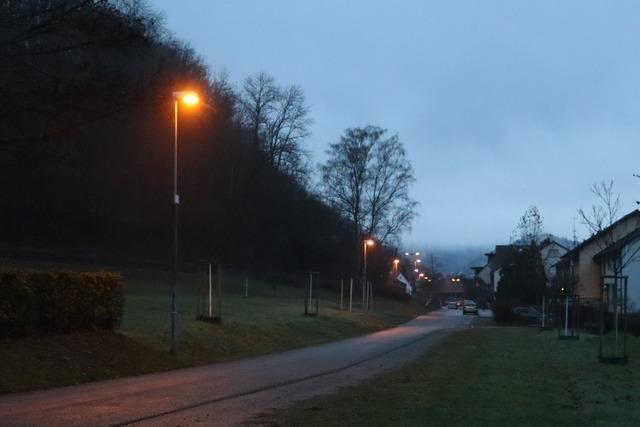 LED in Waldkircher Straenbeleuchtung: 78 Prozent Stromeinsparung gegenber 2005