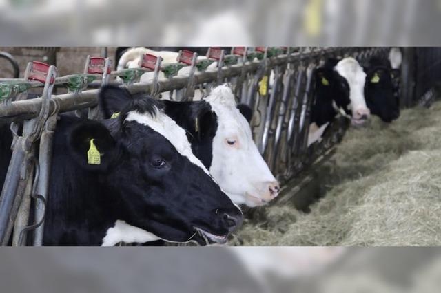 Landwirte suchen den Schulterschluss