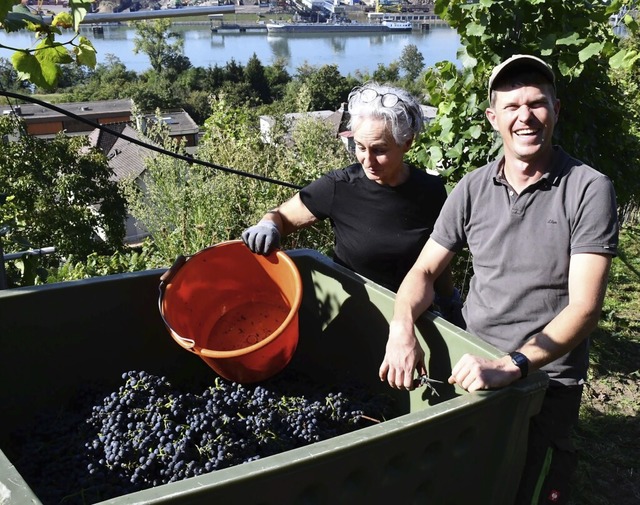 Hoch zufrieden mit der Qualitt und de... Winzer Michael Lang (rechts im Bild).  | Foto: Heinz und Monika Vollmar