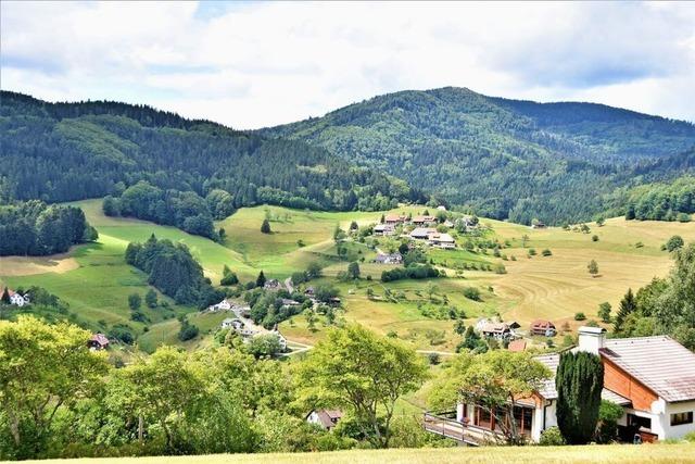 Welchen Beitrag der lndliche Raum fr eine Gemeinwohlkonomie leisten kann